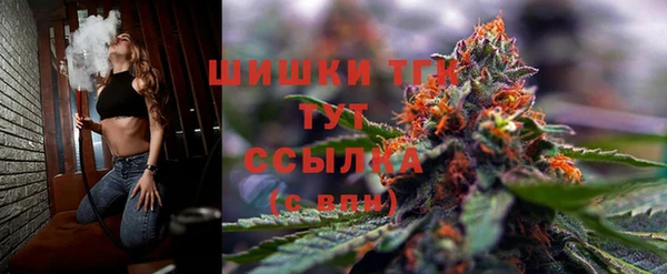 бошки Бикин
